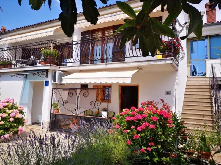 Apartmani Rita Oliva Novigrad Istria Exterior foto