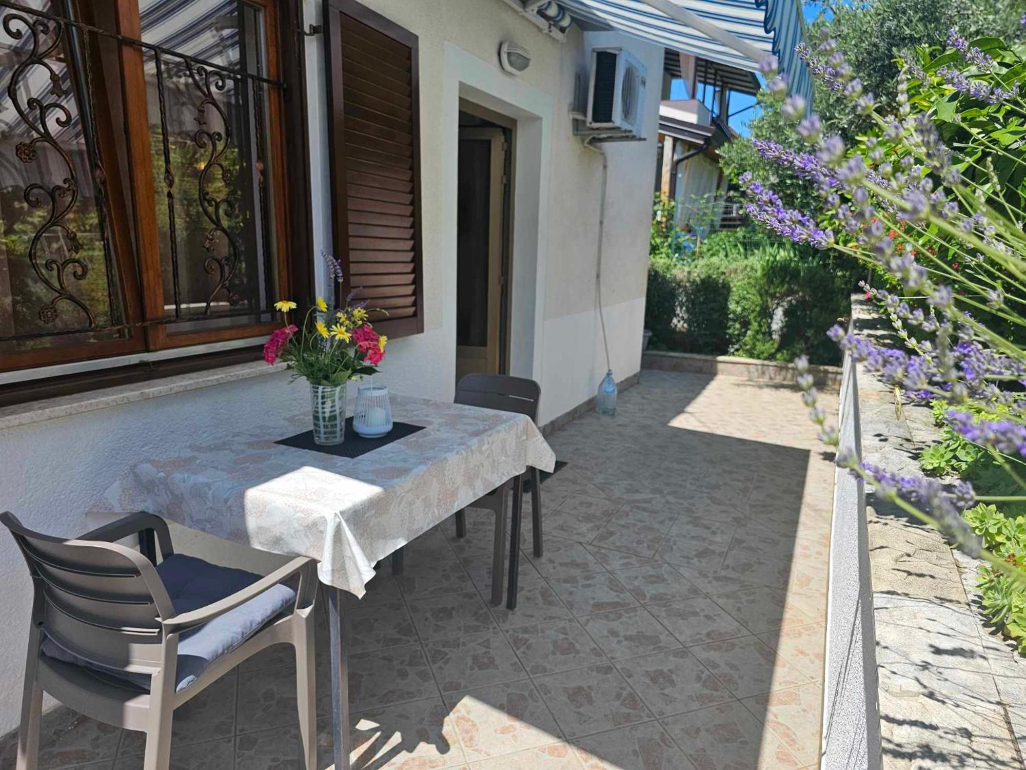 Apartmani Rita Oliva Novigrad Istria Exterior foto