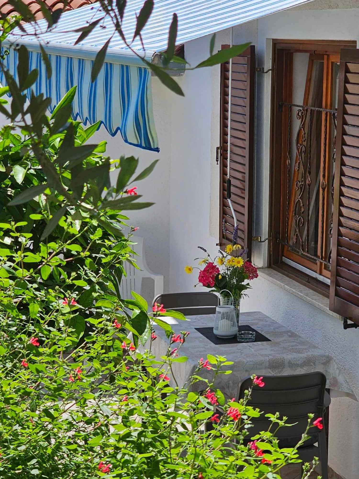 Apartmani Rita Oliva Novigrad Istria Exterior foto