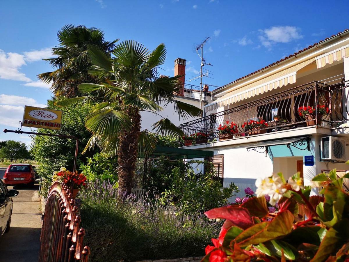Apartmani Rita Oliva Novigrad Istria Exterior foto