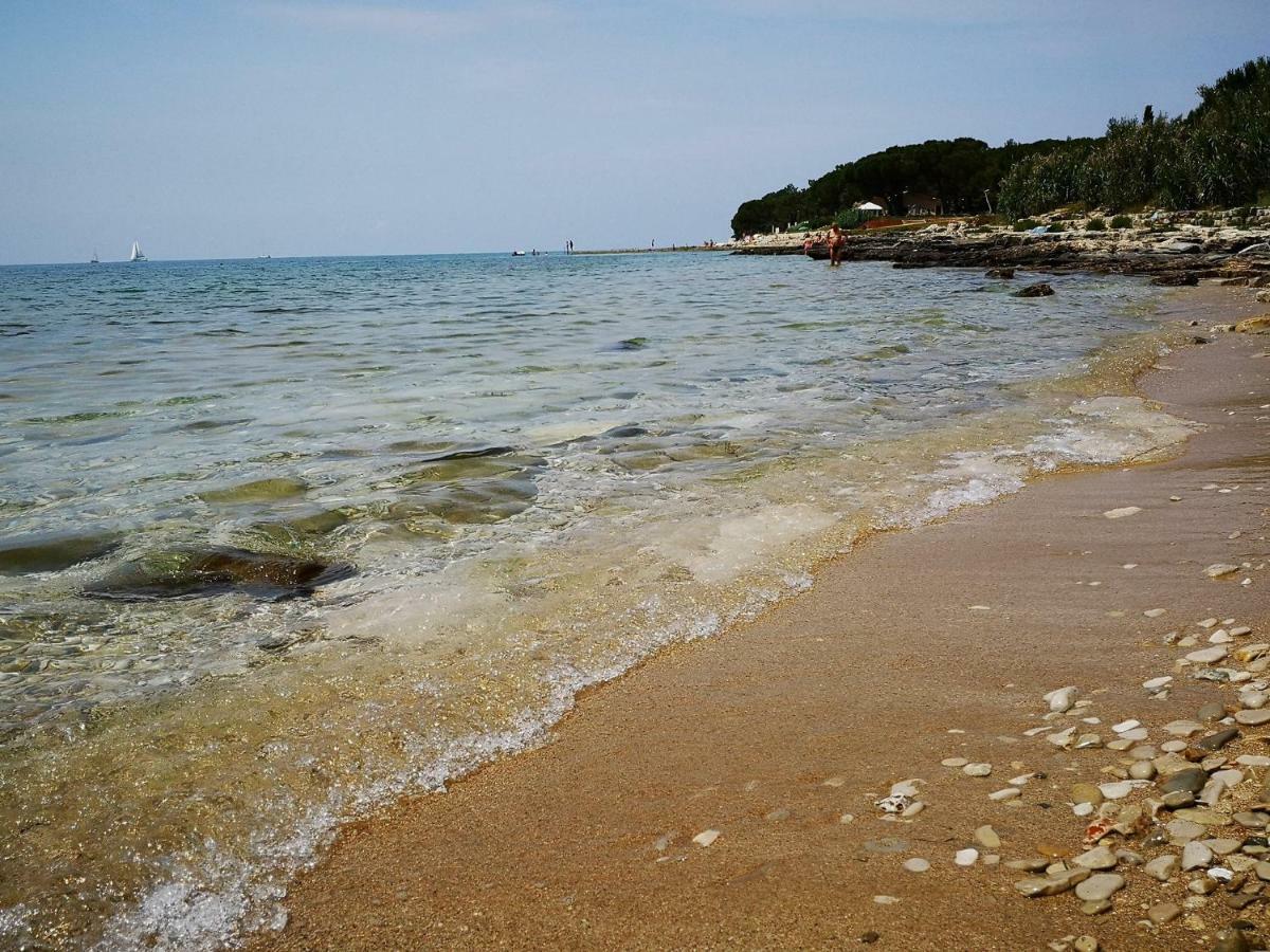 Apartmani Rita Oliva Novigrad Istria Exterior foto