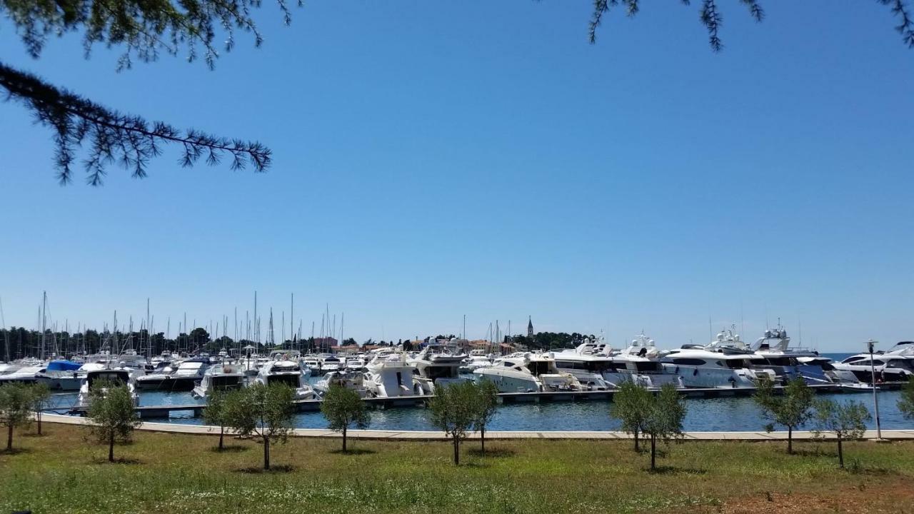 Apartmani Rita Oliva Novigrad Istria Exterior foto