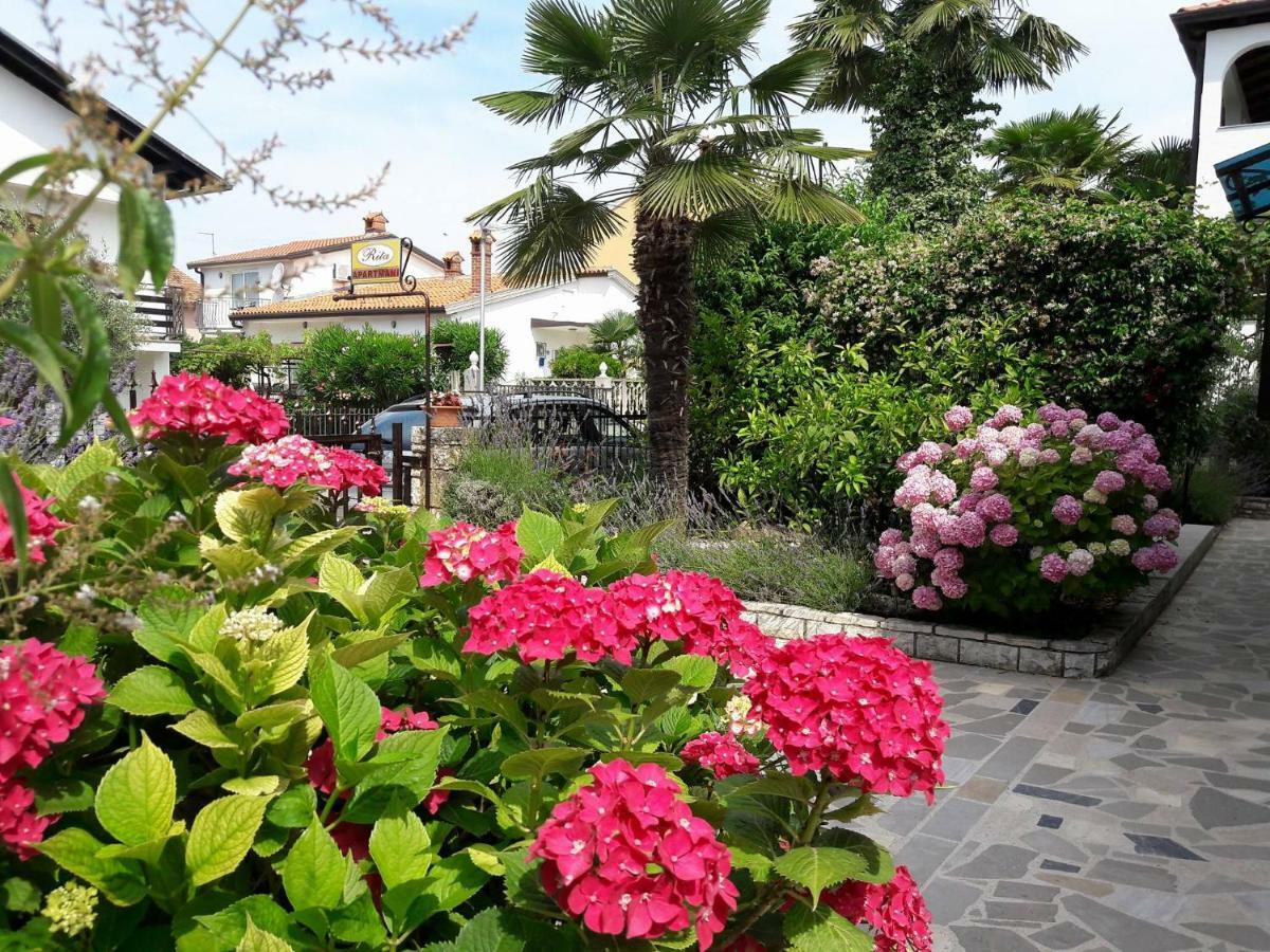 Apartmani Rita Oliva Novigrad Istria Exterior foto