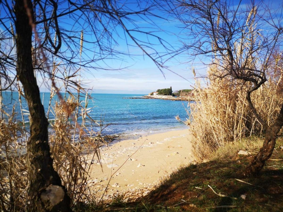 Apartmani Rita Oliva Novigrad Istria Exterior foto